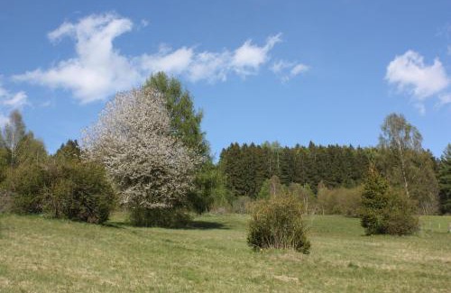 Mariahof Ski Chalet | Stillbacherhütte