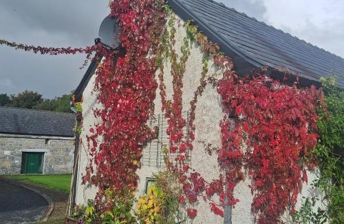 Athenry Apartment | Stone Barn Cottage In Galway Countryside