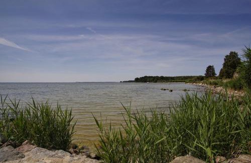 Neuendorf Apartment | strandnahe Idylle am Meer, private Badestelle mit Strandkorb - Gutshof Ostseeblick FeWo Nr 04