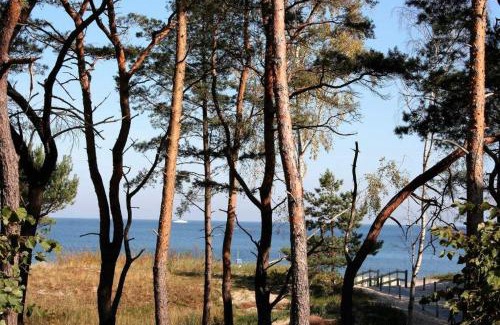 Ahlbeck Apartment | Strandresidenz Else Marie App 1 3