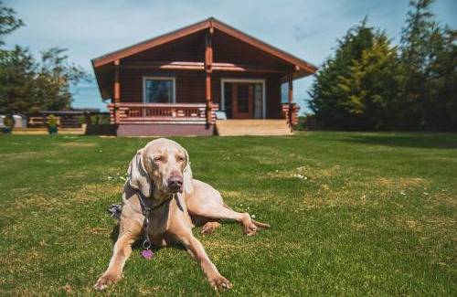Berwick-upon-Tweed Ski Chalet | Strathisla - Luxury Two Bedroom Log Cabin with Private Hot Tub & Sauna