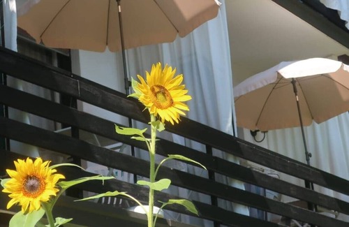 Velden am Worther See Apartment | Studio Apartment 'Haus Melanie -' with Mountain View, Shared Garden and Wi-Fi