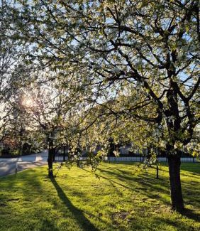 Ozalj Apartment | Studio apartman Zorkovac