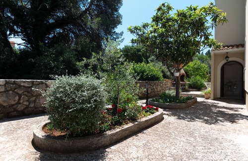 Muline Apartment | Studio flat with terrace and sea view Muline, Ugljan (AS-8521-a)