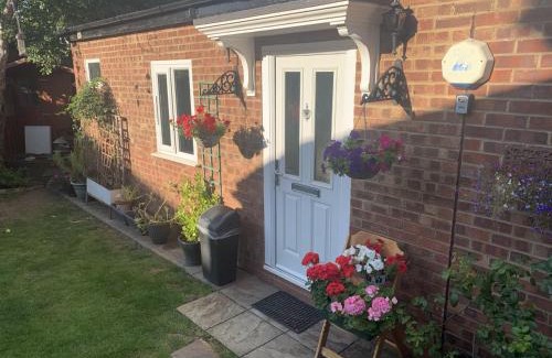 Belmont Apartment | Studio