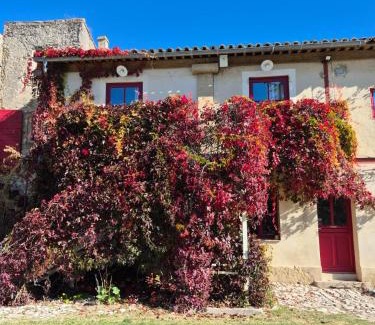 Rognes Apartment | Studio Ouest - Chambre avec vue vignoble - Domaine viticole Château Barbebelle Rognes - Proche d'Aix-en-Provence