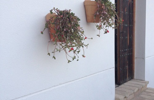 Alcala de los Gazules House | Stunning views, modern facilities