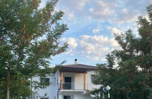 Corovode House | Stylish Room by Canyons & City