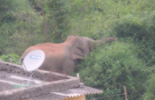 Bhubaneshwar House | Sublime Homestay