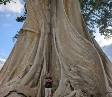 Carangsari House | Sugita Wooden House