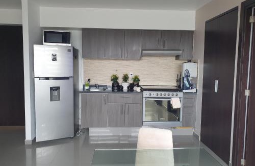 Ixtapalapa Apartment | Suite Boutique Ejecutivo Mexico