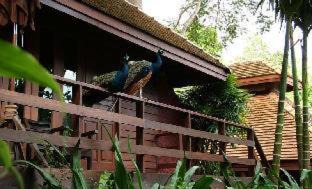 Mae Rim Resort | Sukantara Cascade Resort and Spa