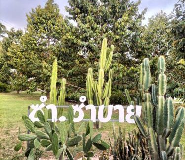 Wang Thong House | Sum sumbuy Homestay ซำ ซำบาย โฮมสเตย์