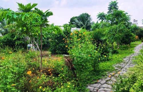 Xuyen Moc House | Summer Stations Homestay Binh Chau - Ho Coc Beach - Vung Tau