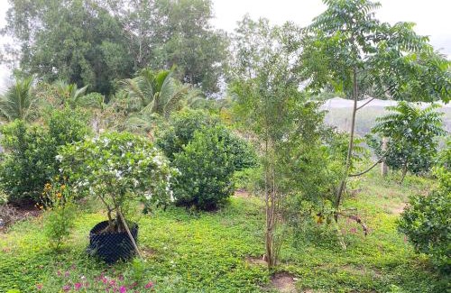 Xuyen Moc House | Summer Stations Homestay Binh Chau - Ho Coc Beach - Vung Tau