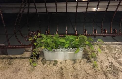 Chaozhou House | Summerle No.11