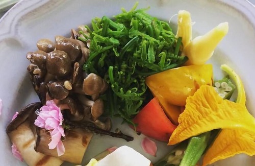 Yuchi Bed & Breakfast | Sun Moon Lake Secret Garden Villa