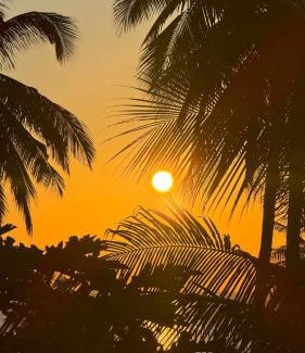 Selayar Islands Resort | Sunari Beach Resort 2