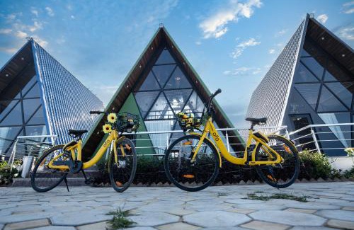 Jamwa Ramgarh Resort | Sunflower Saga