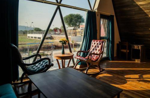 Jamwa Ramgarh Resort | Sunflower Saga