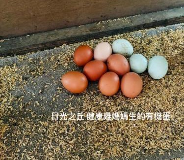 Yuanshan House | sunlight mound