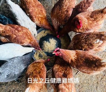 Yuanshan House | sunlight mound