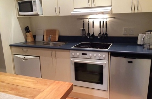 Te Aro Apartment | Sunny Central Large CBD Apartment (v13)