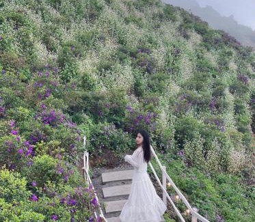 Bac Yen Hotel | Sunset Cloud Tà Xùa