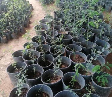 Al Madam Villa | sunset villa