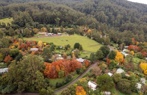 Warburton House | Super-Sized Luxury - Spa, Sauna, Steps to Trails