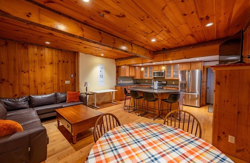 Lake Placid Apartment | Superb 2-bedroom apartment with AC in Lake Placid