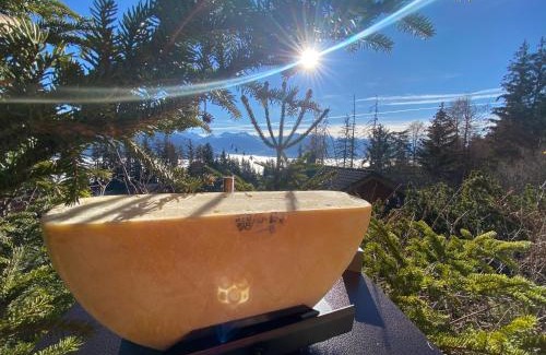 Anzere Ski Chalet | Superbe chalet 12 personnes vue imprenable 2nuits min