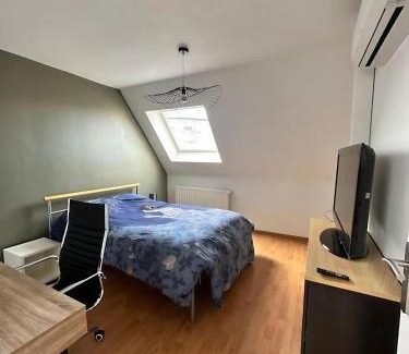 Colmar Apartment | Superbe Duplex proche Centre ville Parking gratuit