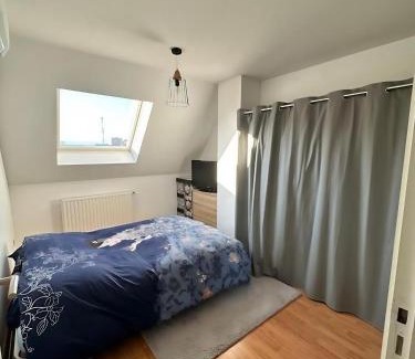 Colmar Apartment | Superbe Duplex proche Centre ville Parking gratuit