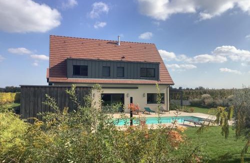 Pfaffenheim House | Superbe Maison Jacuzzi+Piscine au cœur des vignes