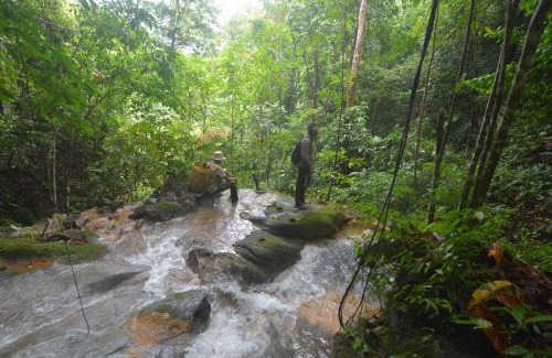 South Aceh Other | Survival Trip Leuser Eco Stay