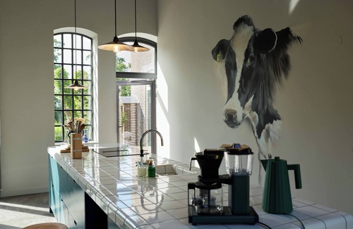 Lioessens Apartment | Suvelfabryk appartement 3