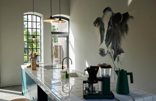 Lioessens Apartment | Suvelfabryk combi appartement 2&3