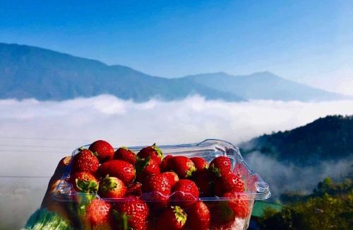 Bac Yen Hotel | Tà Xùa Mây Mơ Màng Homestay