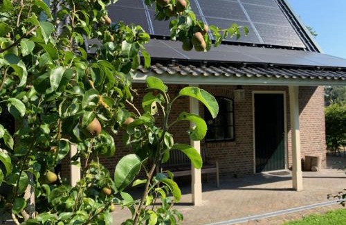 Jelsum House | Túnhúske Jelsum