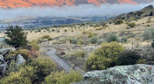 Lowburn Villa | Tāima PurePod