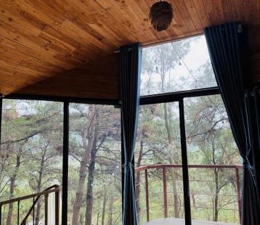 Soc Son House | Tổ Chim House