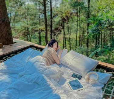 Soc Son House | Tổ Chim House