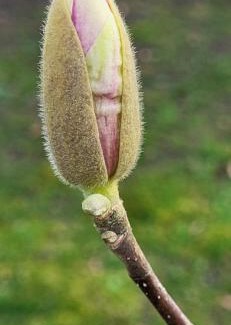 Stramproy House | 't Kesselke