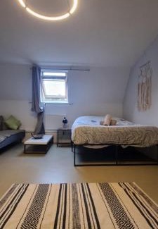 Anzin Apartment | T1 rénové 29 m2 cosy confort !