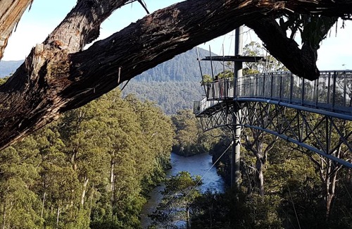 Southwest Hostel | Tahune AirWalk Cabin and Lodge