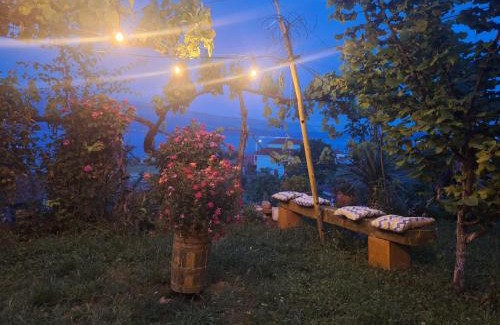 Udenisht Villa | Taku Villa Wonderful view of Lake Ohrid