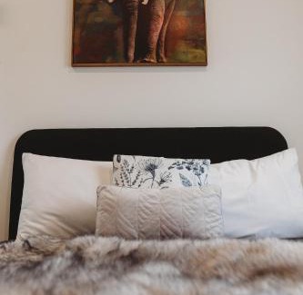 Katikati Hotel | Talisman Hotel & Restaurant