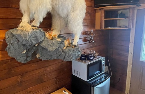 Susitna North Cabin | Talkeetna Denali View Lodge and Cabins