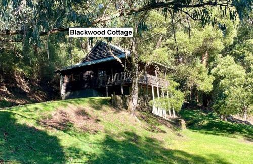 Apollo Bay House | Tall Trees Eco Retreat